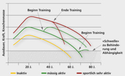 Die Verlauskurven zeigen: Die körperliche Verfassung verbessert sich auch, wenn man erst spät mit dem Training anfängt.